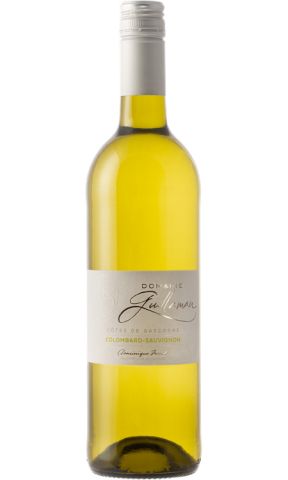 Domaine Guillaman Colombard Sauvignon 2022